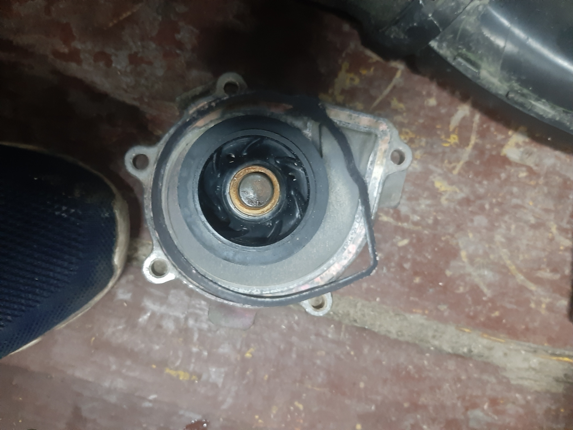 Мокка помпа. B224 dolz. 4 болты. Прокладка помпы опель мокка 1. 8 артикул.