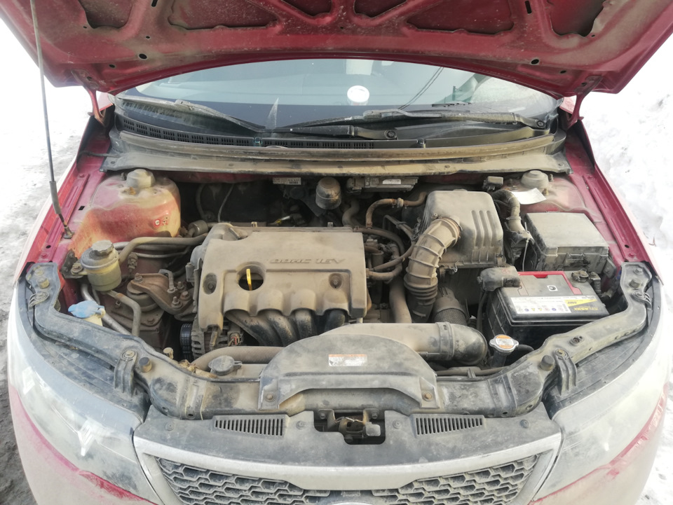 Замена птф киа церато 2G 2011 г.(ПРОДОЛЖЕНИЕ) — KIA Cerato (2G), 1,6 л ...