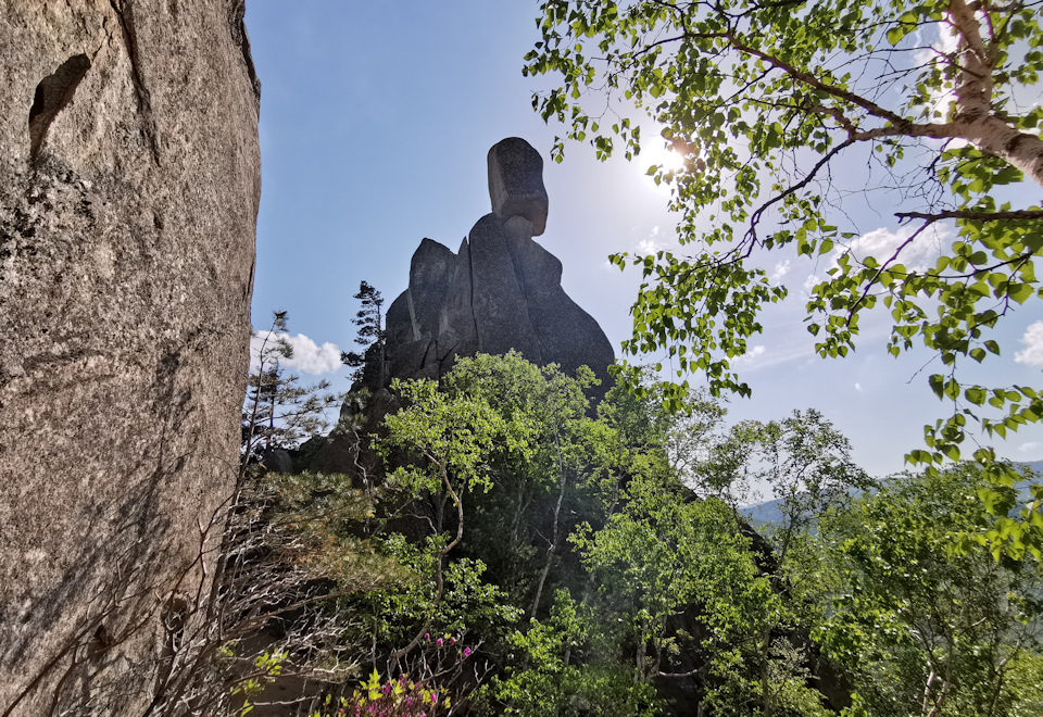 Фото в бортжурнале Toyota Land Cruiser Prado 70-series