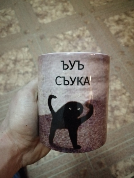 Ъуъ мем с котом