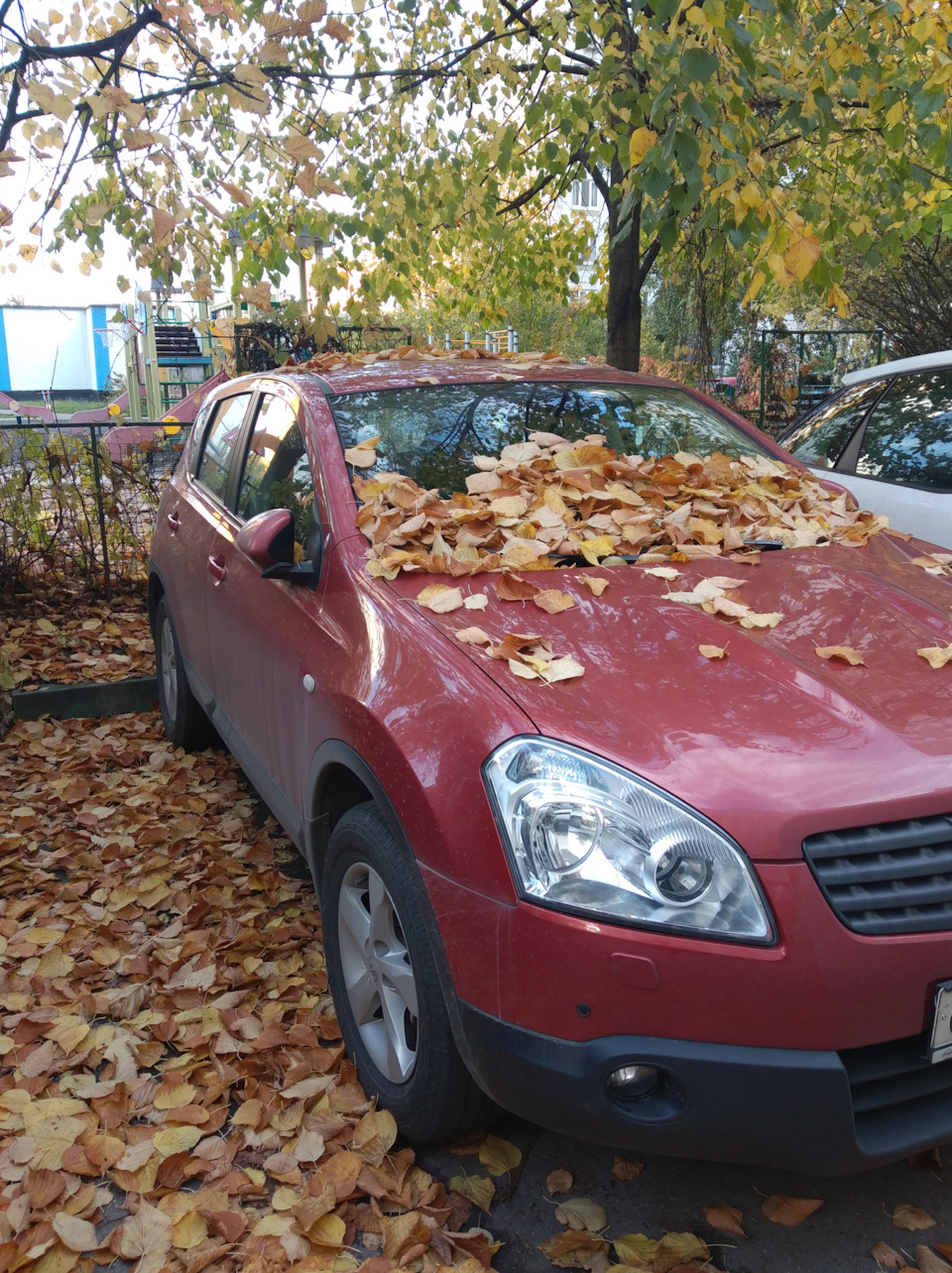 Снова дёргается hr16de дрмв — Nissan Qashqai (1G), 1,6 л, 2007 года |  поломка | DRIVE2