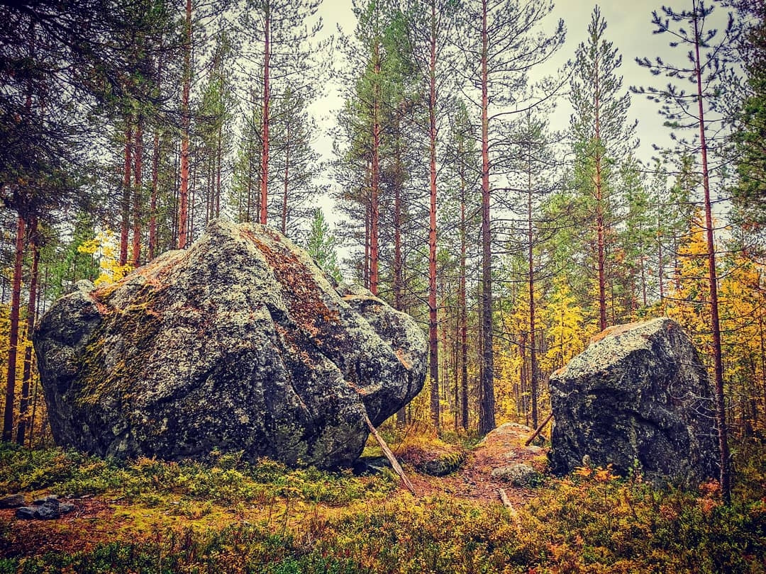 Моя карелия. Луусалми Карелия. Луусалми малая Родина. П Луусалми Калевальского района Республики Карелия. Малая Родина Карелия.