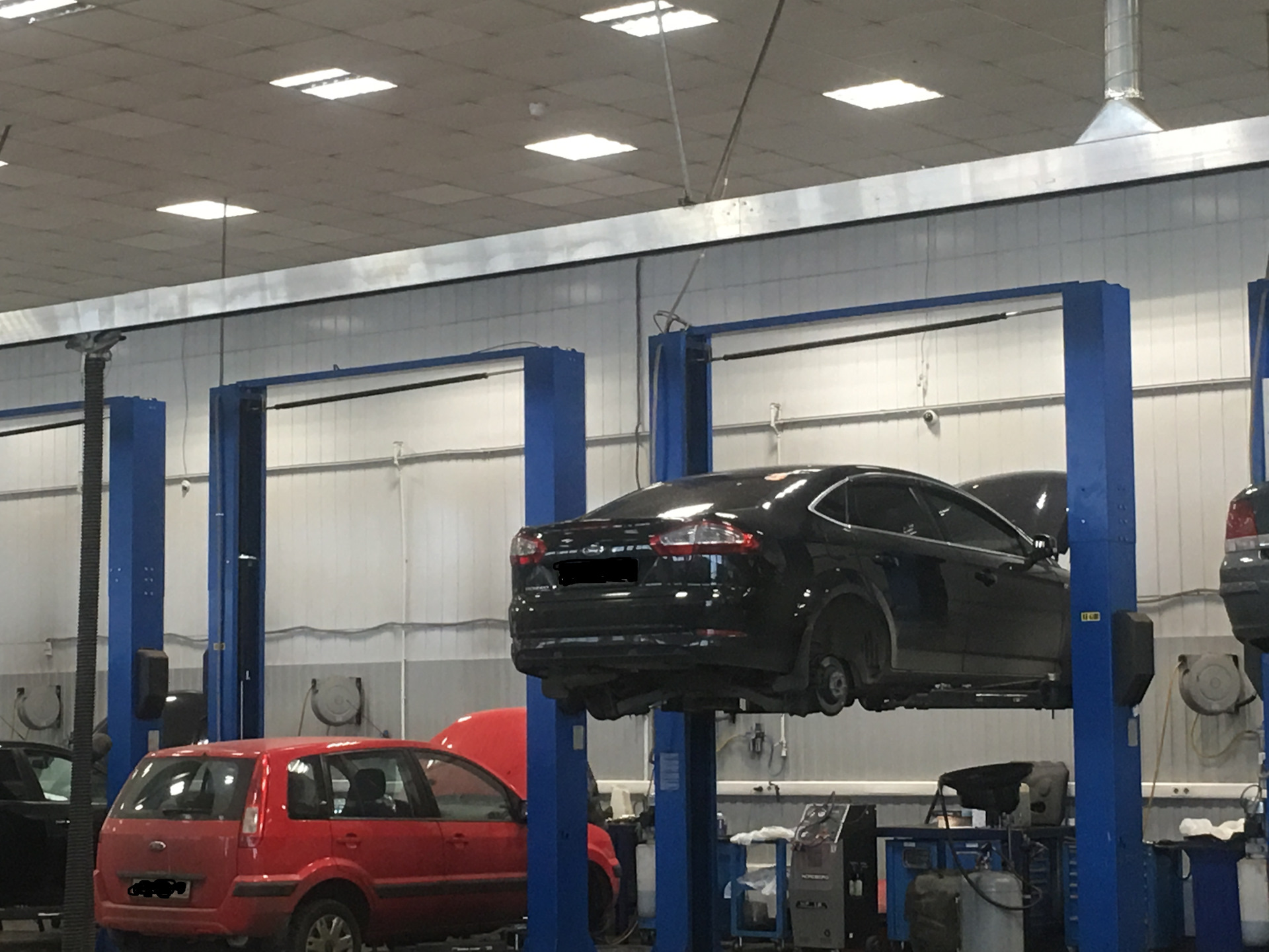 Новая эмблема SKODA — винил — Skoda Octavia A5 Mk2, 1,6 л, 2011 года ...