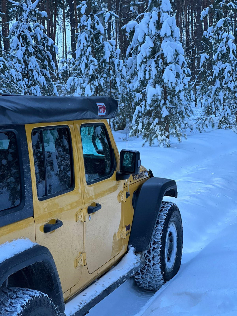 Нашёл приключения в лесу — Jeep Wrangler (JL), 2 л, 2020 года | покатушки |  DRIVE2