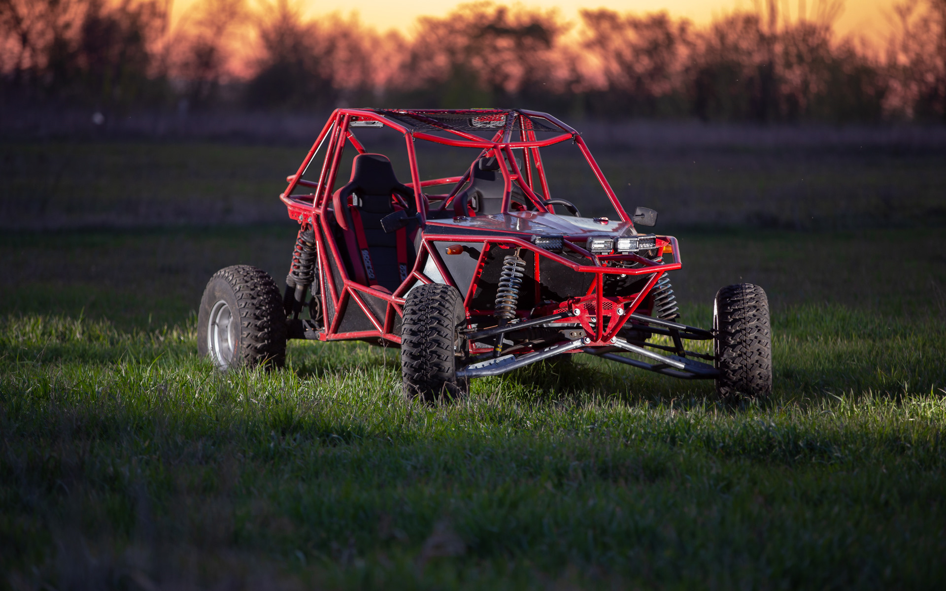 Citroen Ami Buggy