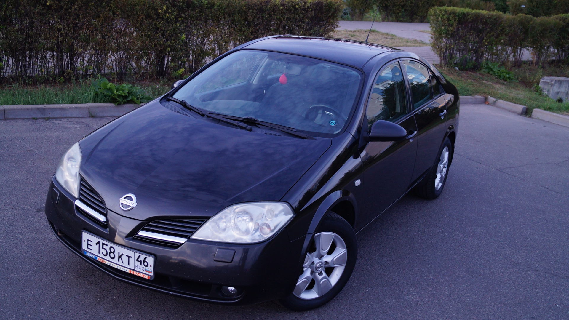 Nissan Primera (P12) 1.6 бензиновый 2006 | back to black на DRIVE2