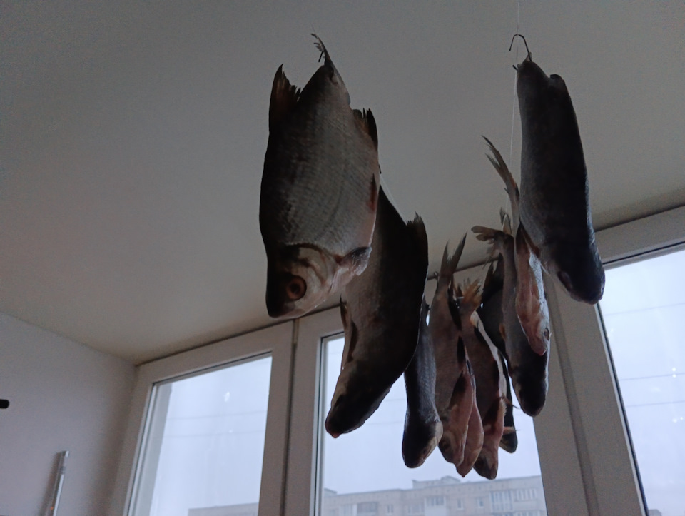 Фото в бортжурнале KIA Sportage (2G)