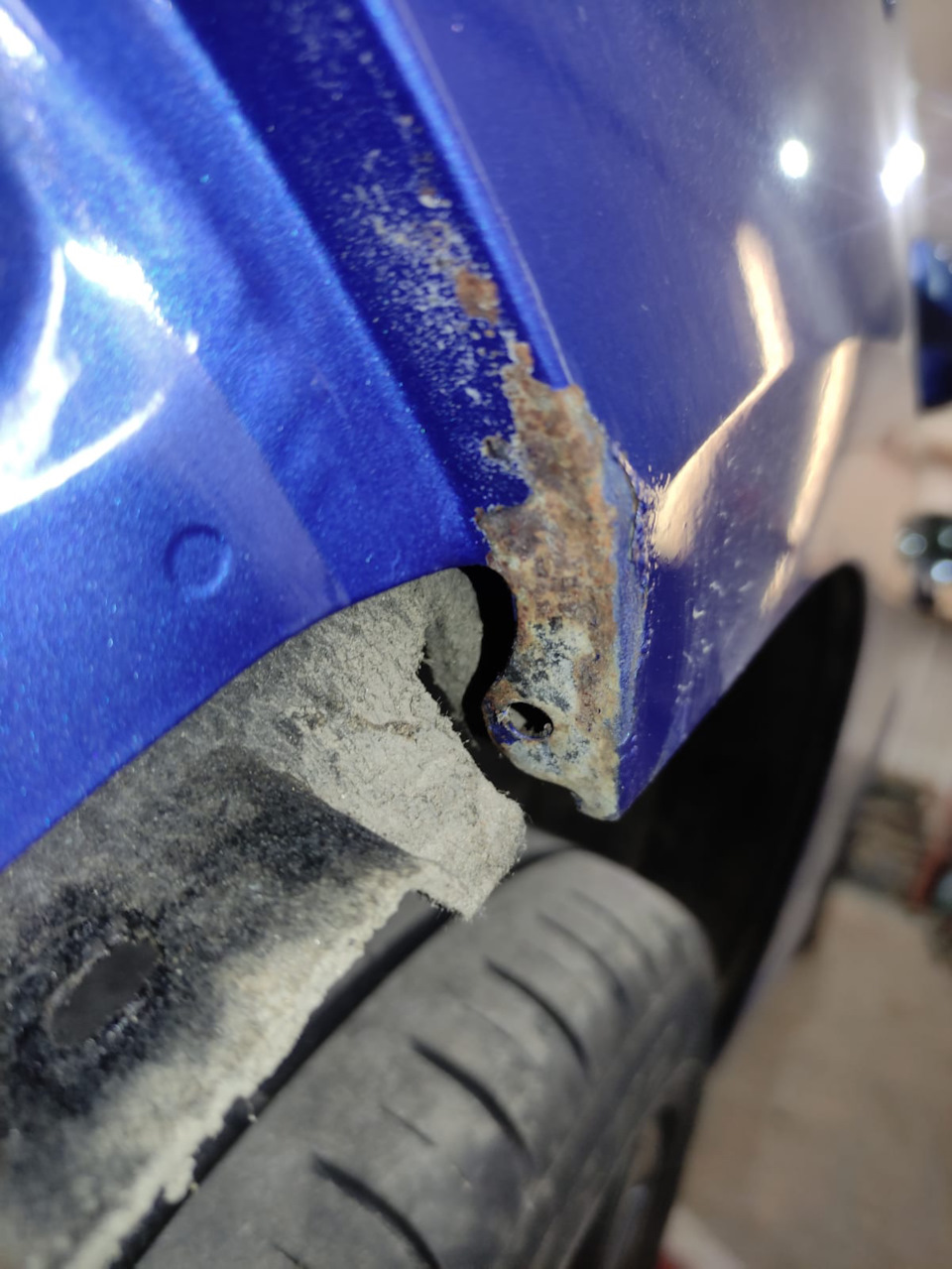 Справа больно — Skoda Octavia Combi A7 Mk3