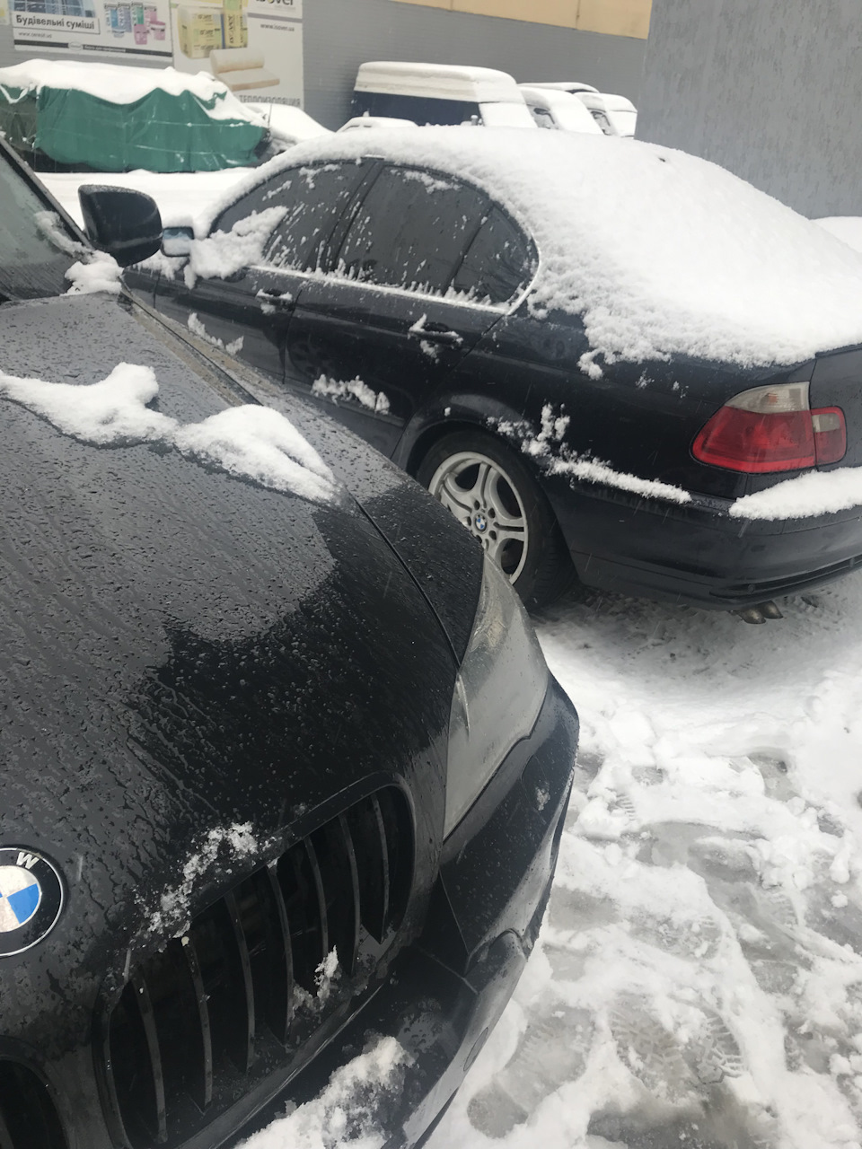 Пришло время начинать рассказ — BMW 3 series (E46), 3 л, 2000 года |  покупка машины | DRIVE2