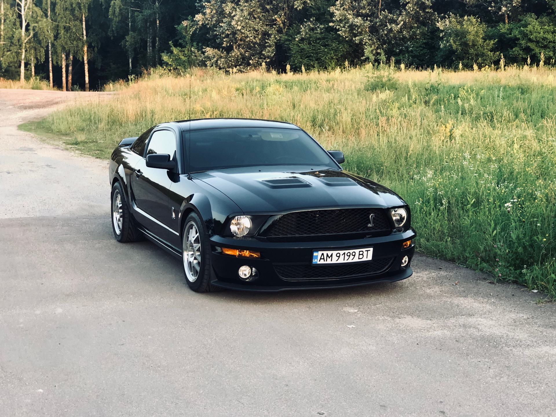 Ford Mustang v 2005 черный