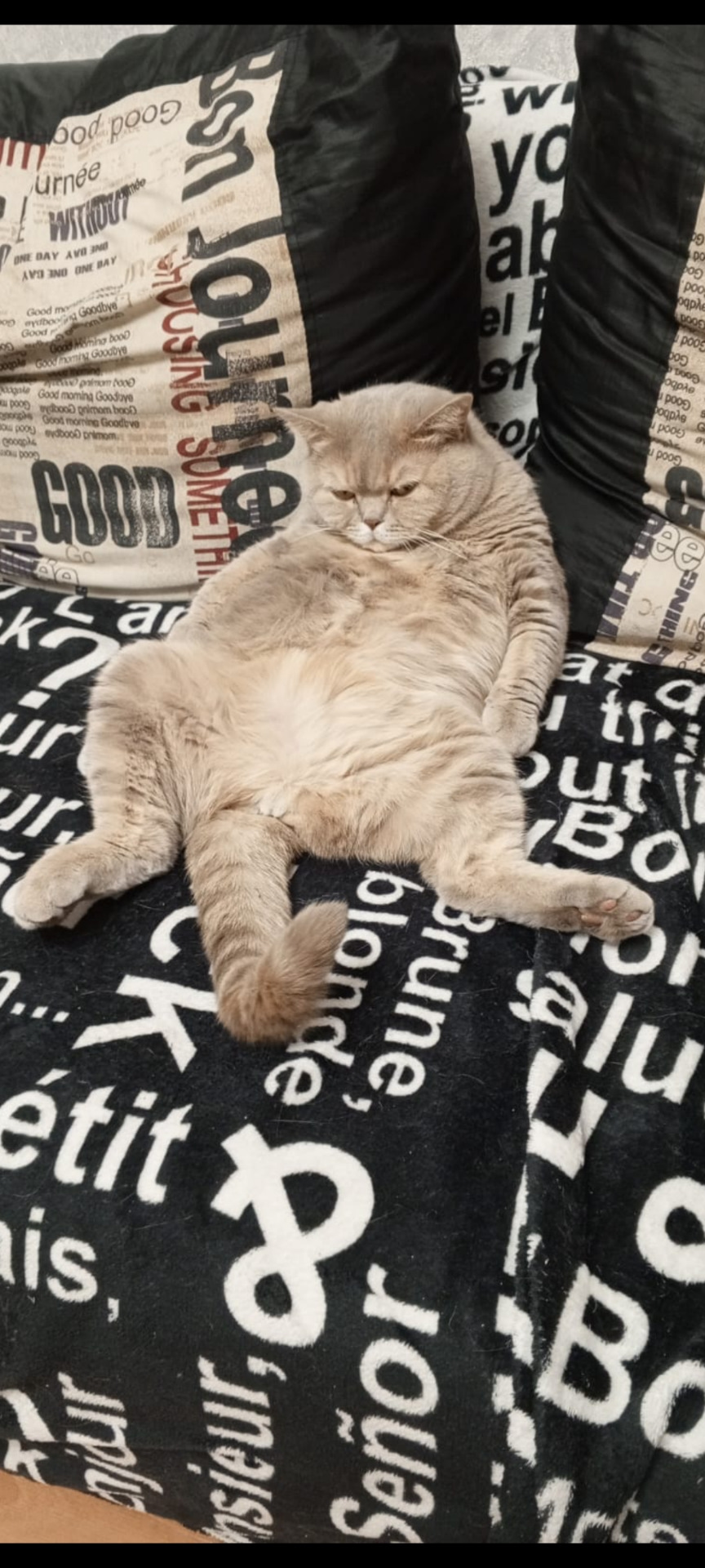 Свист печки — Subaru Forester (SH), 2,5 л, 2008 года | другое | DRIVE2