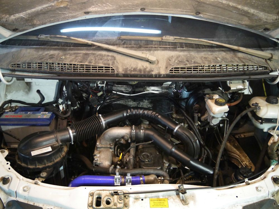 Газель 2009 мотор. Мотор газель 405 евро 3. Дизельный двигатель газель некст. 3 98 л. Газель 8 клапанная.