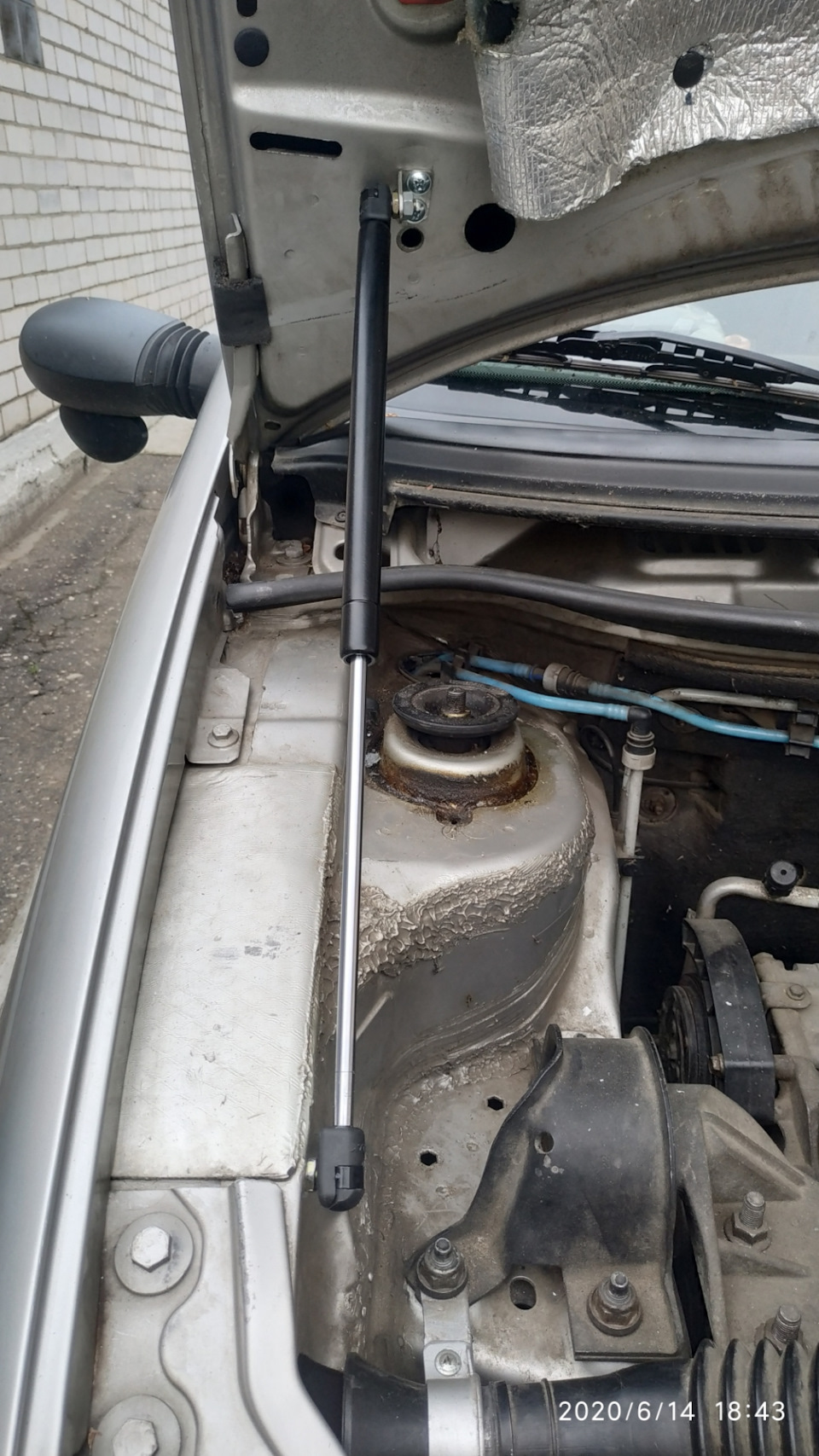 Газовый упор капота на Фиат Пунто 188 — FIAT Punto II, 1,2 л, 2003 года ...