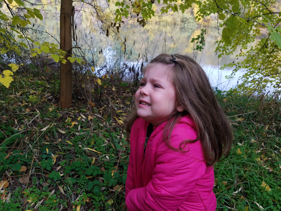 Фото в бортжурнале Volkswagen Caravelle (T3)