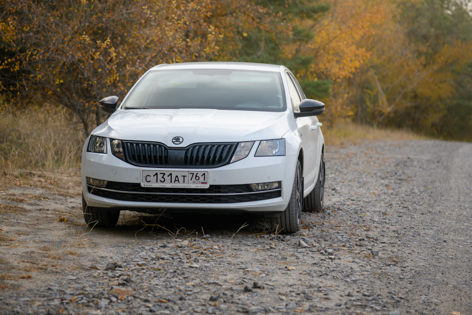 Значки антихром — Skoda Octavia A7 Mk3, 1,4 л, 2020 года | стайлинг ...