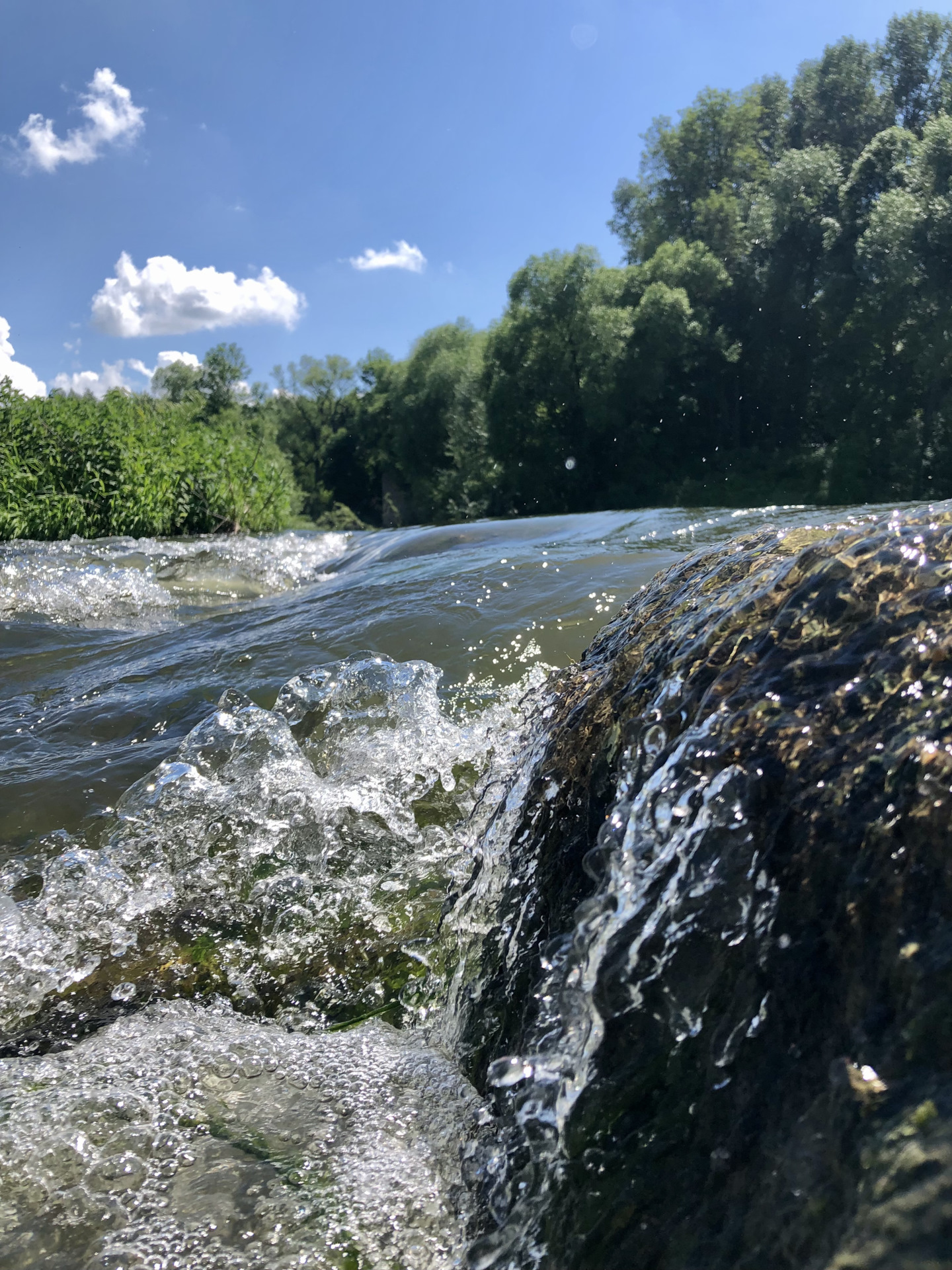 Реки воды живой