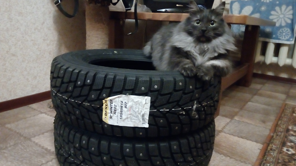 Украли колеса — KIA Spectra, 1,6 л, 2008 года | колёсные диски | DRIVE2