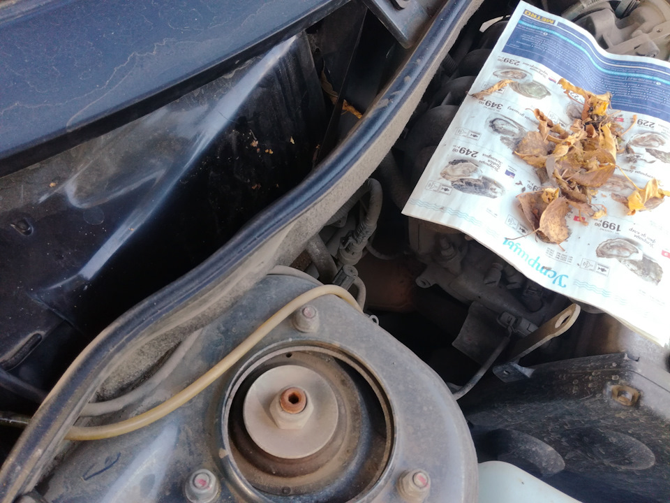 Фото в бортжурнале Lada Гранта Лифтбек (1G)