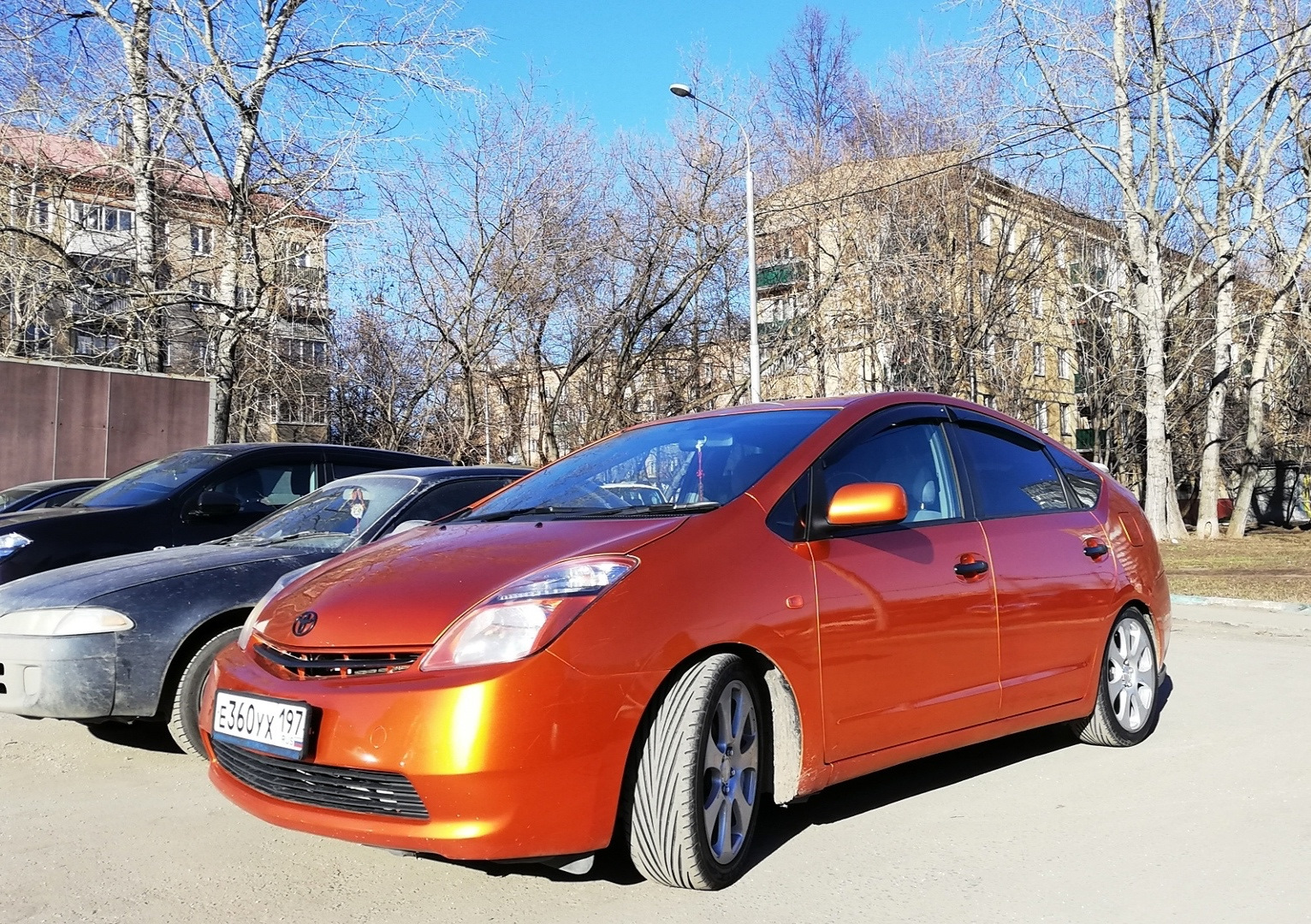 Slik l187s. Кулирная гладь. Оранжевая 15. Оранжевая 15. Букет из 15 роз морковь 80 см.