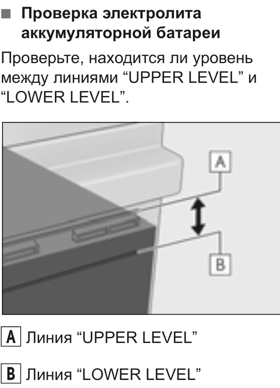 Плановое техническое обслуживание + обслуживание АКБ — Lexus UX, 2 л ...