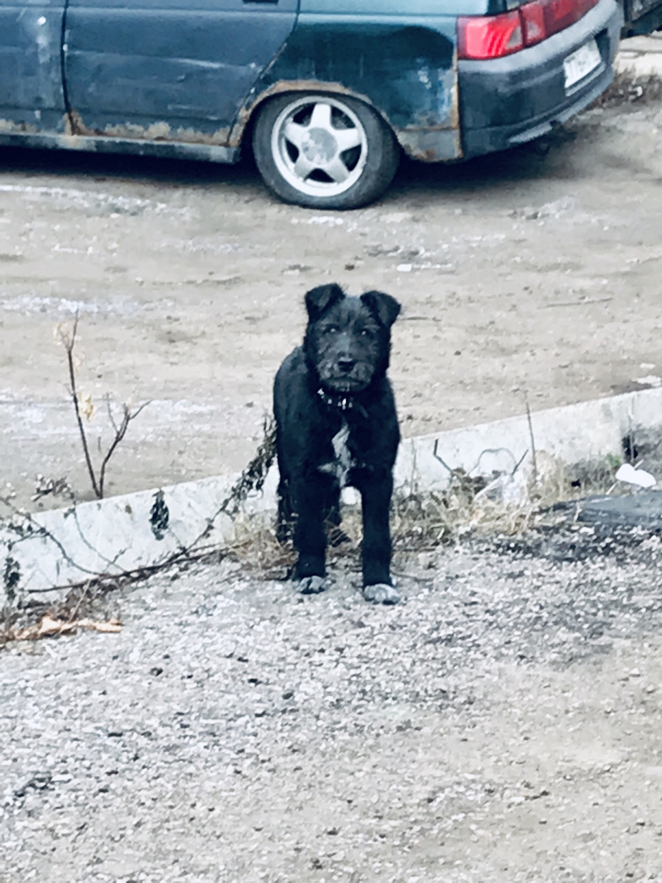 Всесезонные шины для рено дастер 4х4 какие выбрать - 95 фото