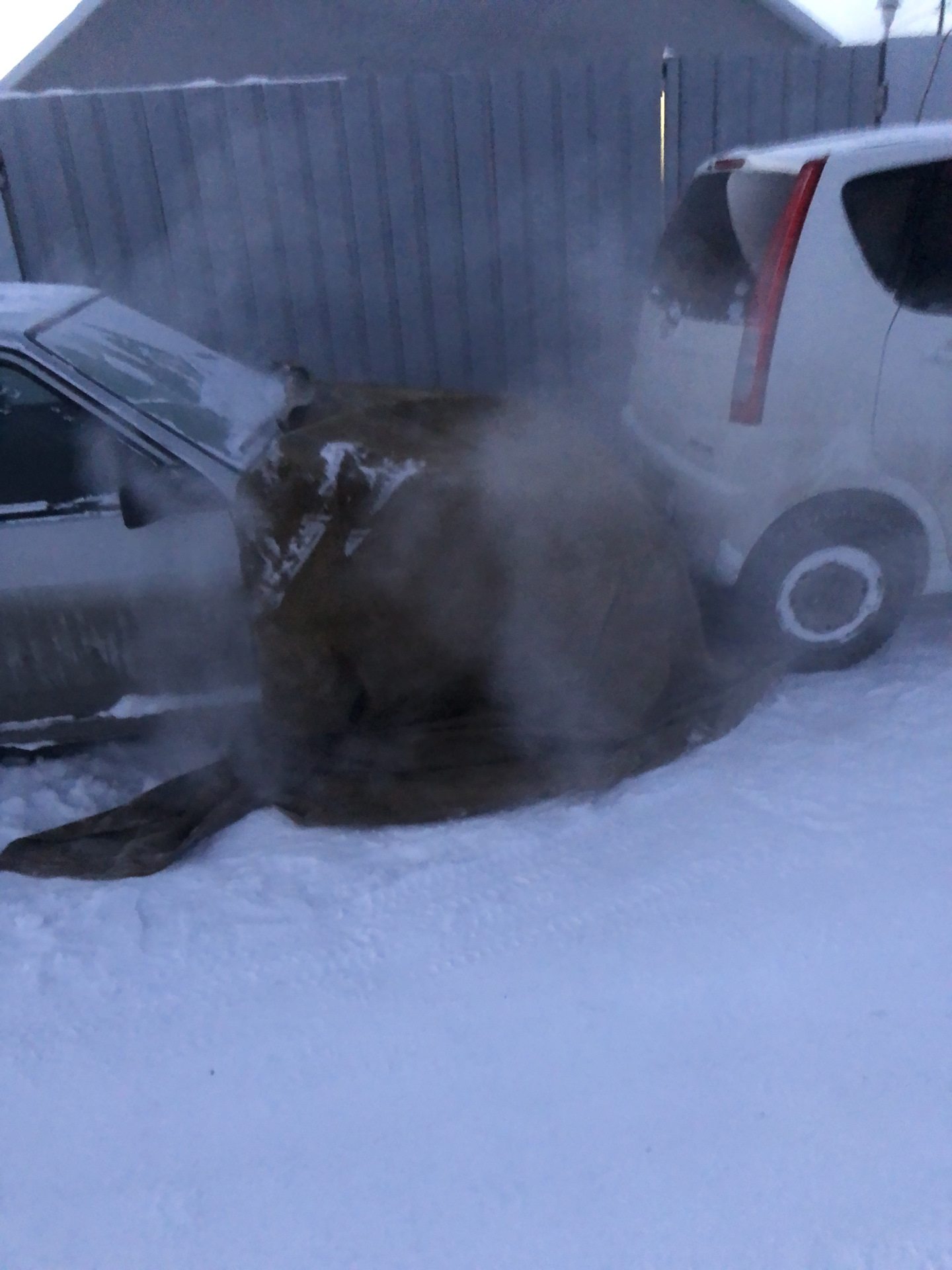 Как завести в мороз 3. Реинкарнация. — Lada 2115, 1,5 л, 2006 года ...