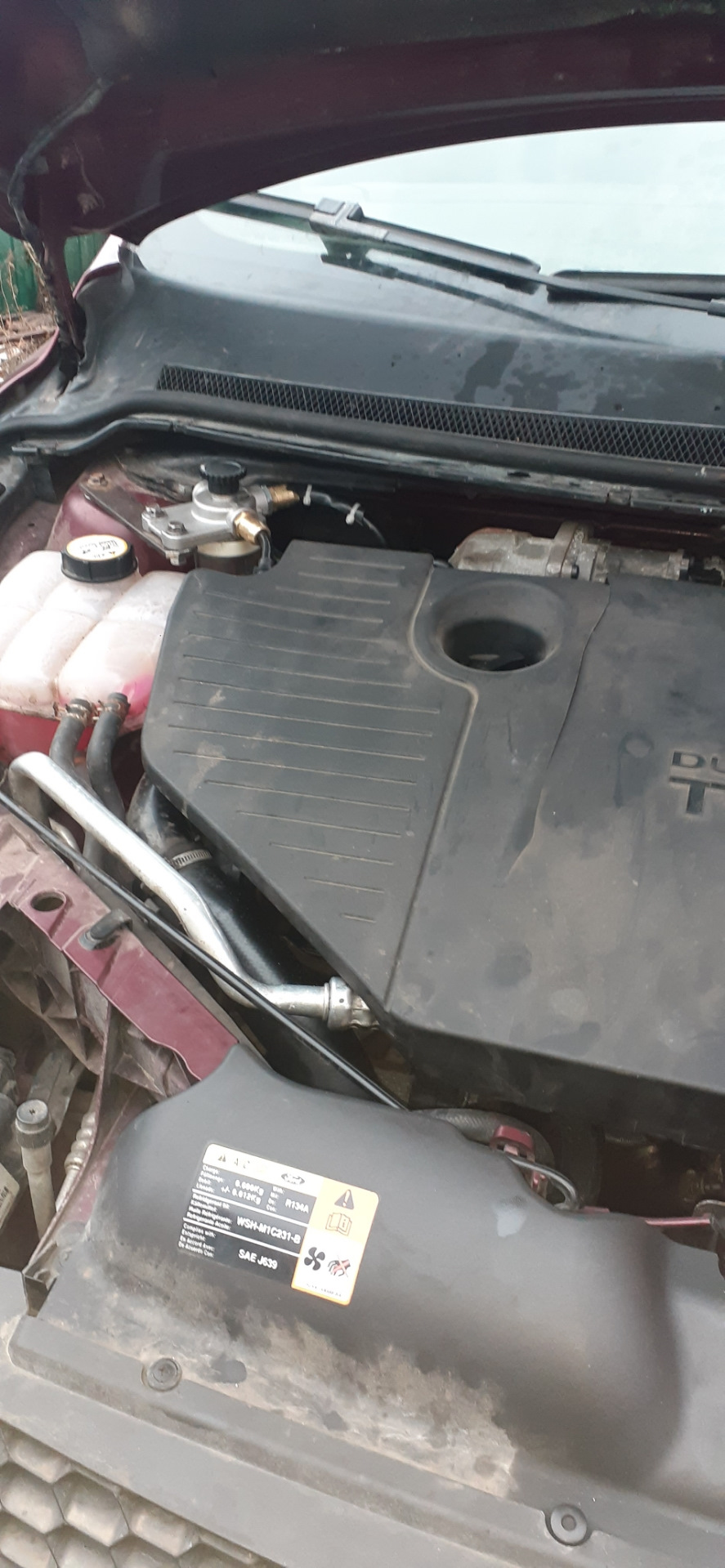 Фото в бортжурнале Ford Focus Wagon II