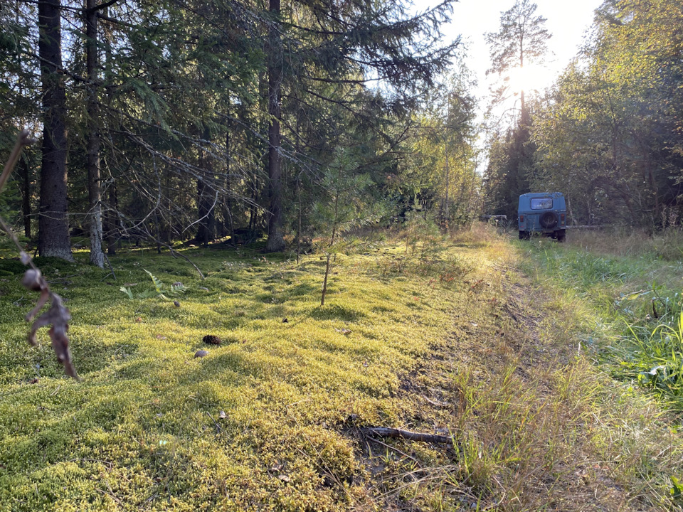 Проба больших колес — ЛуАЗ 969, 1,5 л, 1989 года | шины | DRIVE2