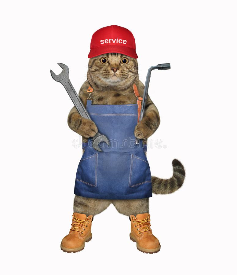 Cat Gray Mechanic Fixing Red Sports Car Stock Photo - Image of success, creative