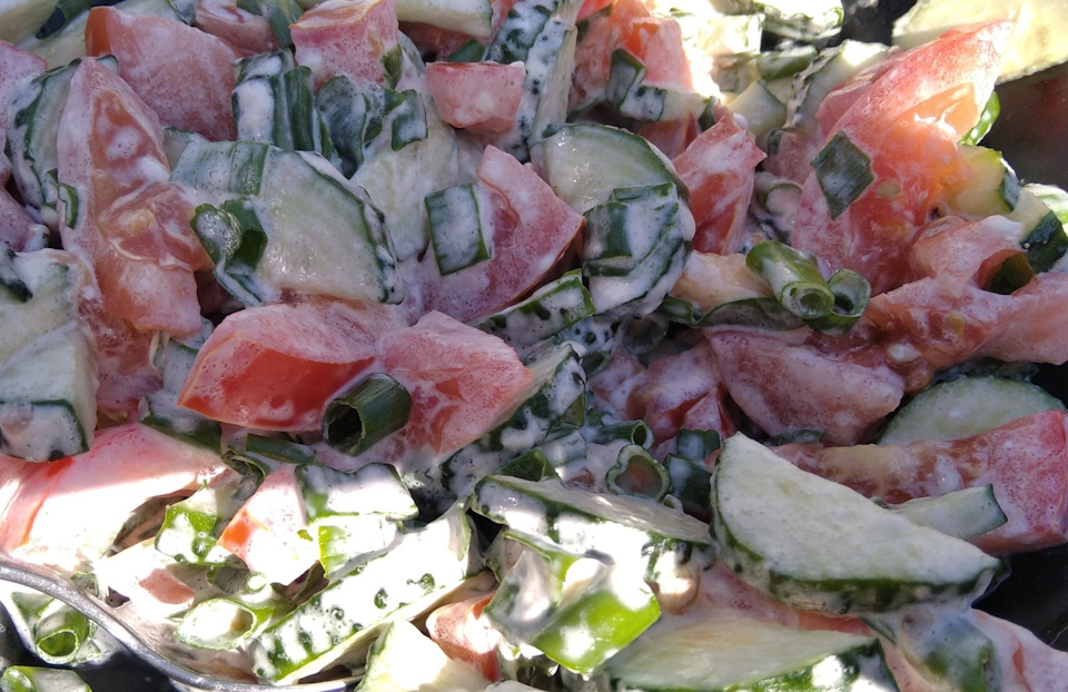 сазан на углях на решетке рецепт с фото. Смотреть фото сазан на углях на решетке рецепт с фото. Смотреть картинку сазан на углях на решетке рецепт с фото. Картинка про сазан на углях на решетке рецепт с фото. Фото сазан на углях на решетке рецепт с фото сазан на углях на решетке рецепт с фото. Смотреть фото сазан на углях на решетке рецепт с фото. Смотреть картинку сазан на углях на решетке рецепт с фото. Картинка про сазан на углях на решетке рецепт с фото. Фото сазан на углях на решетке рецепт с фото