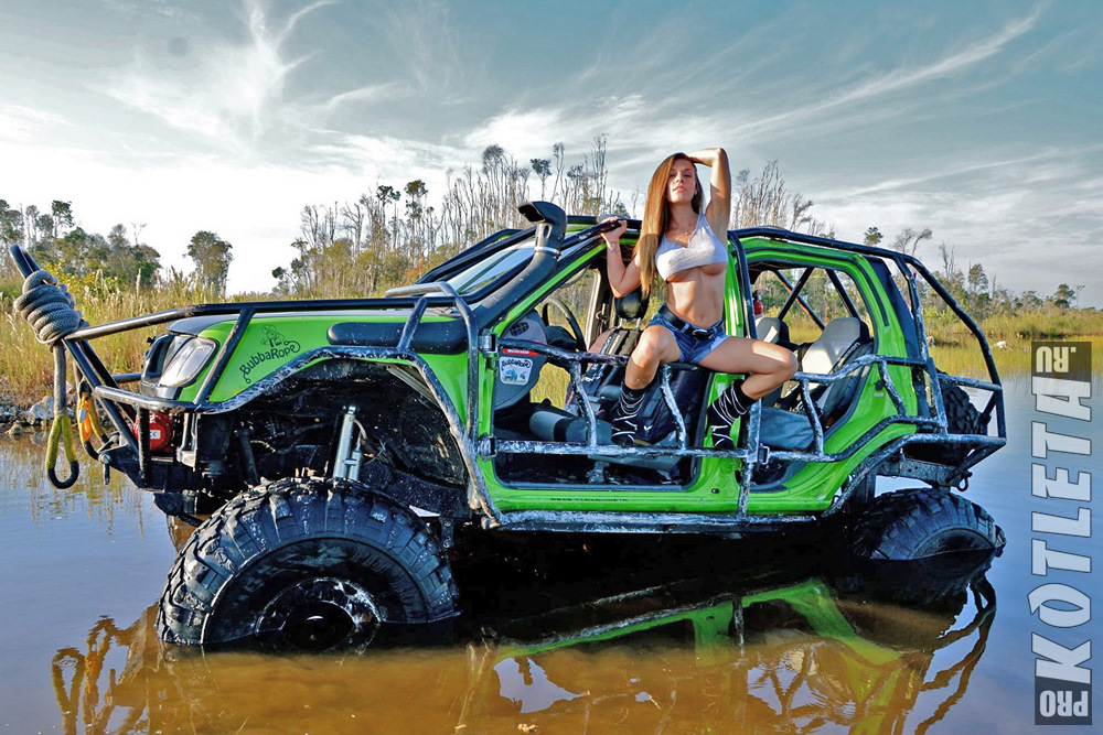 Полировка фар тойота авенсис - 90 фото