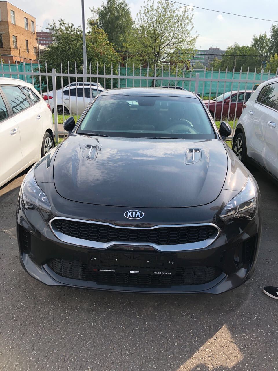 KIA STINGER GREY TIGER — DRIVE2