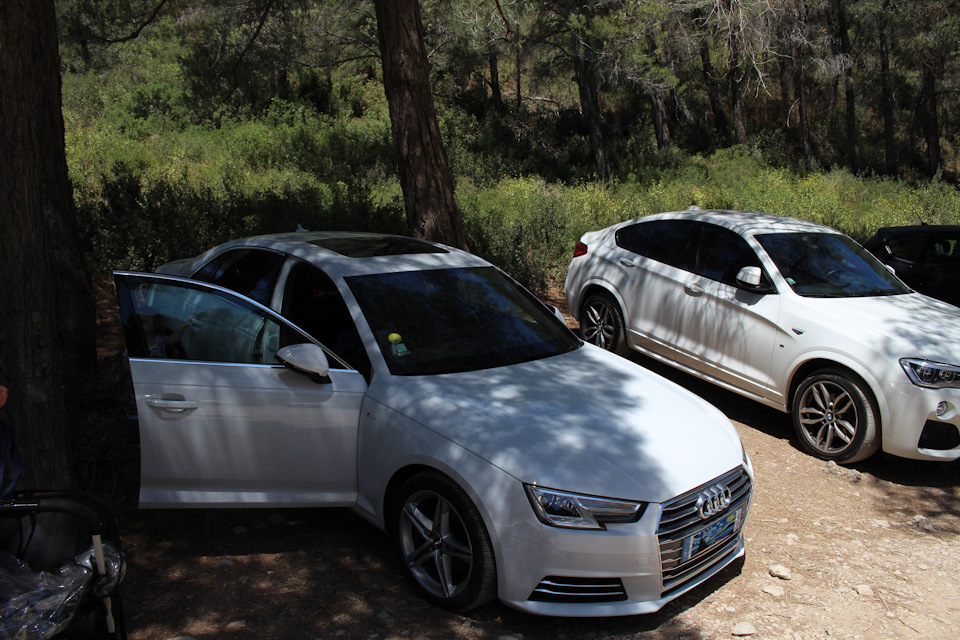 Очень приятно после долгой прогулки обнаружить, что машина до сих пор находится в тени. ;) А также то, что на ней нет следов смолы, вмятин от упавших шишек, птичьего помета и т.п. . О чем только не думаешь летом когда паркуешь машину :) — Audi A4 (B9)