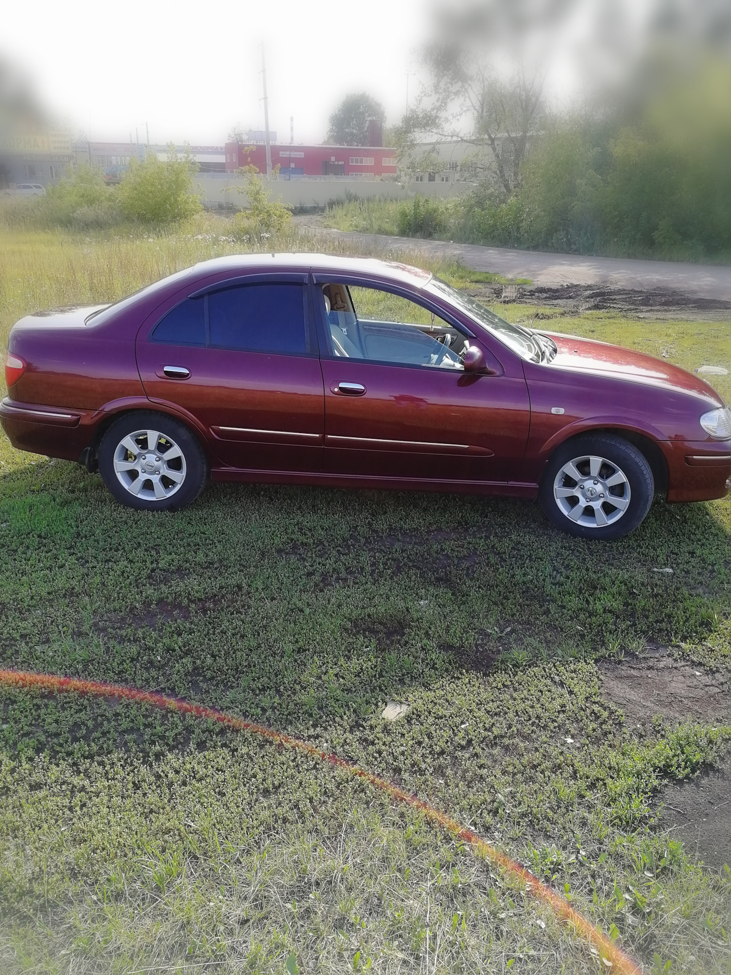 Nissan bluebird sylphy на дисках. Блюберд 14. Блюберд сверловка. Блюберд сверловка. Блюберд 14.