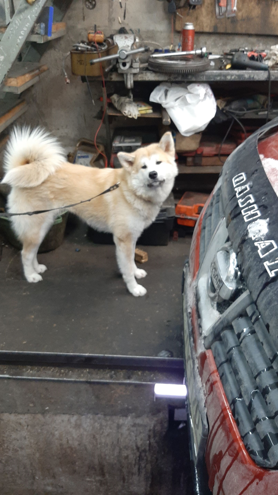 Ошибка автозапуска — РЕШЕНО (горит "тормоз) Старлайн А94 — Nissan ...