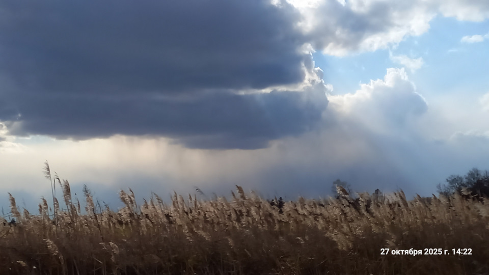Фото в бортжурнале Willys MB
