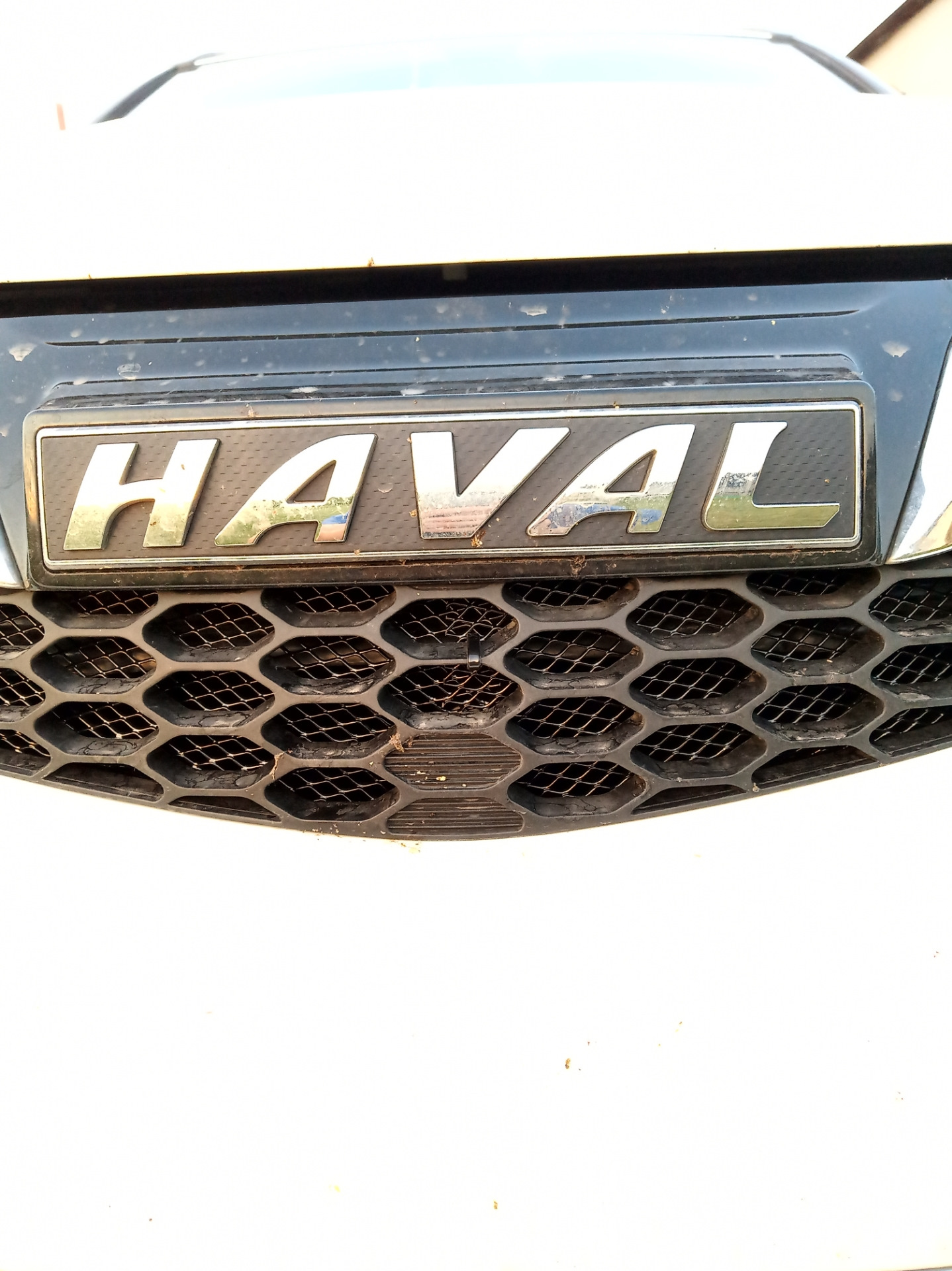 Сетка в бампер — Haval H5 (1G), 2 л, 2021 года | аксессуары | DRIVE2