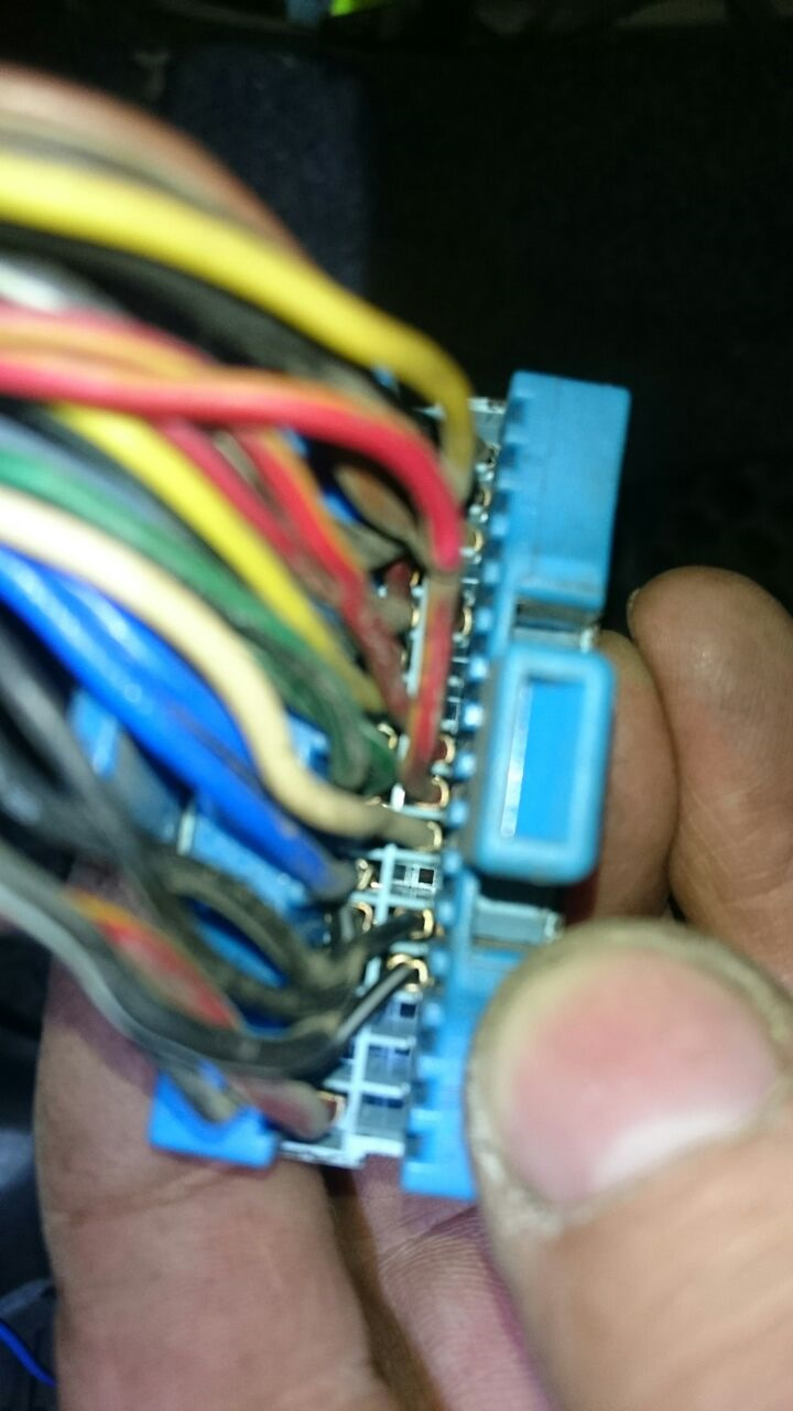 Дайте плиз артикул pin фишки ЭБУ (запихал от фишки дпдз) — Daewoo Nexia ...