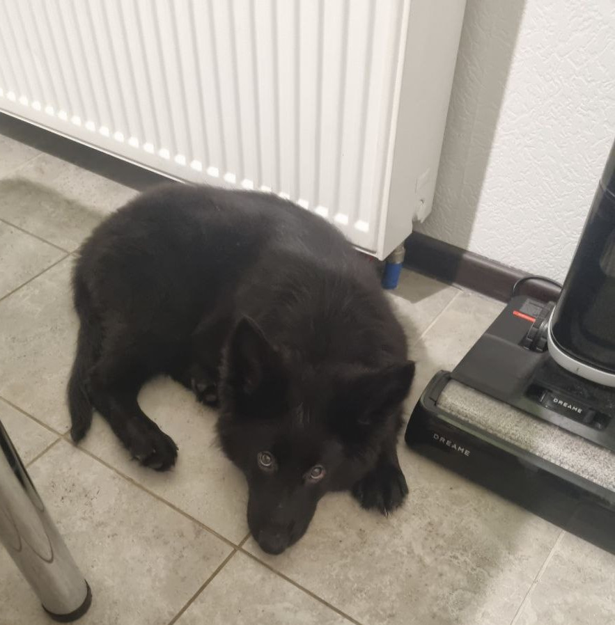 Хитрая и вредная — Acura MDX (3G)