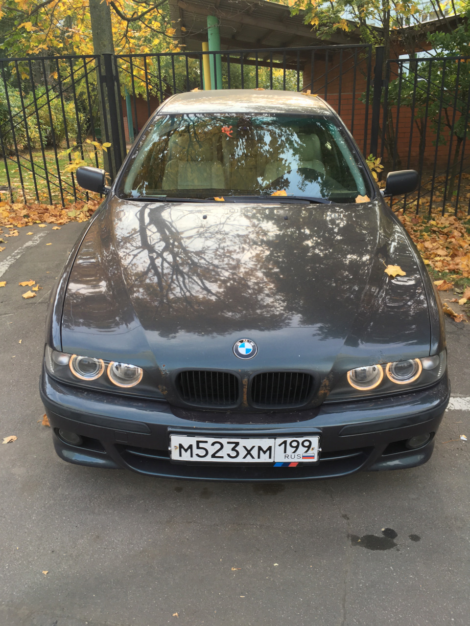 Осень — BMW 5 series (E39), 2,5 л, 2000 года | продажа машины | DRIVE2