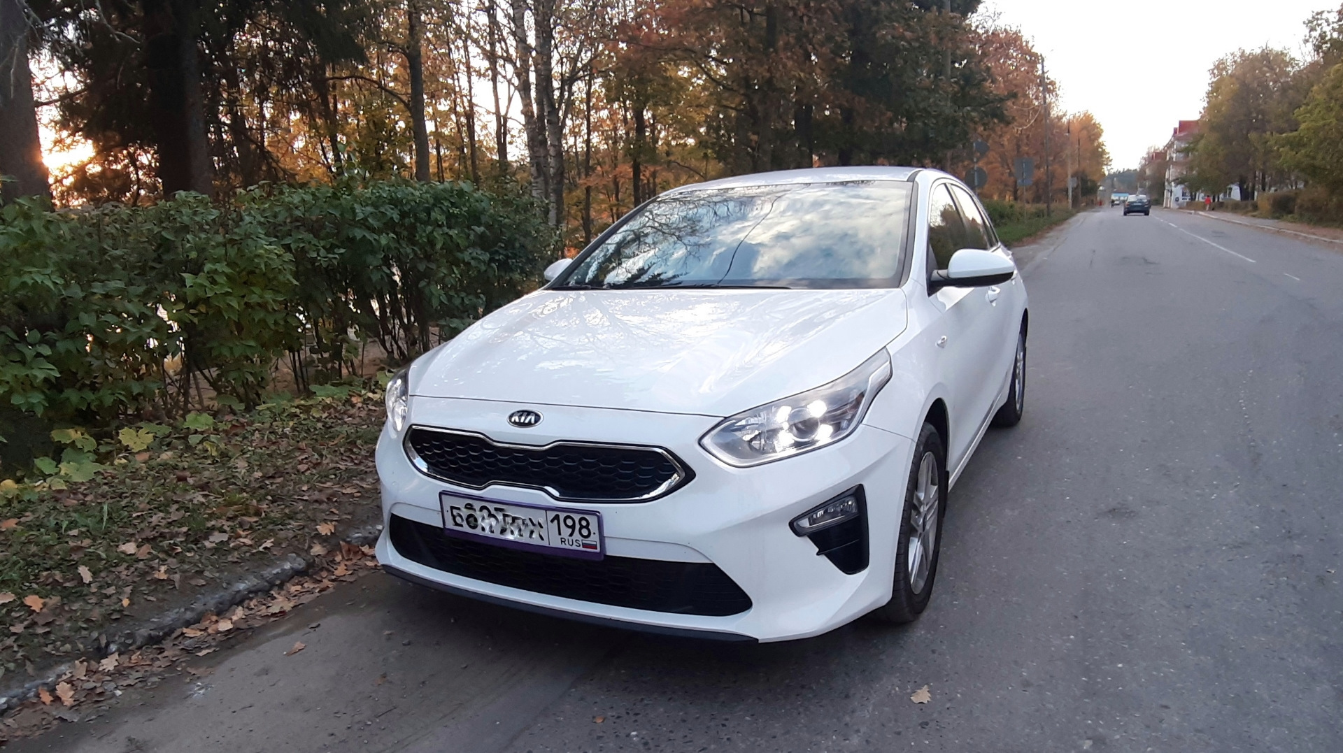 Злой и страшный волк или осеннее обострение. — KIA Ceed (3G), 1,6 л, 2019  года | другое | DRIVE2