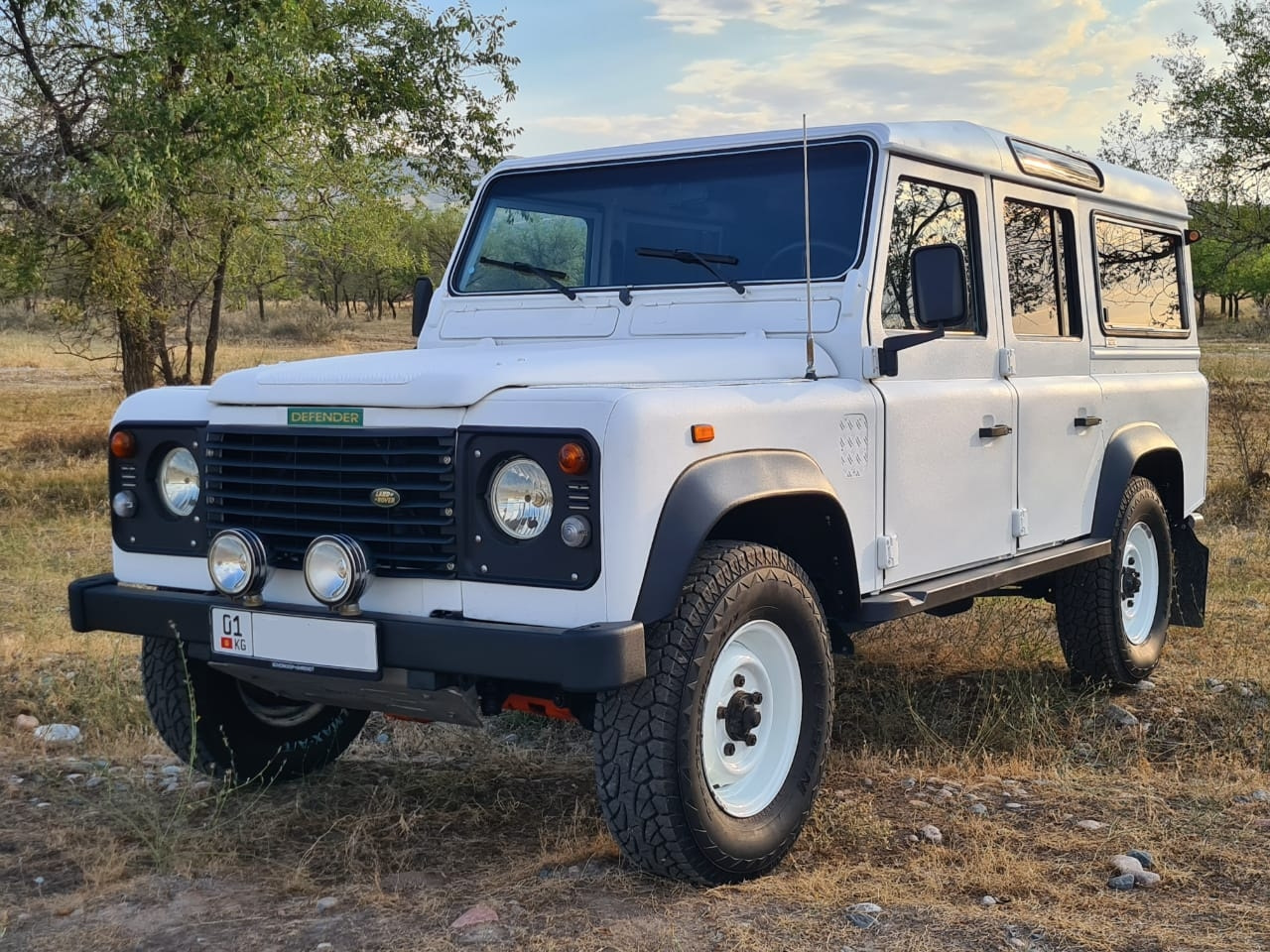 Defender 1999