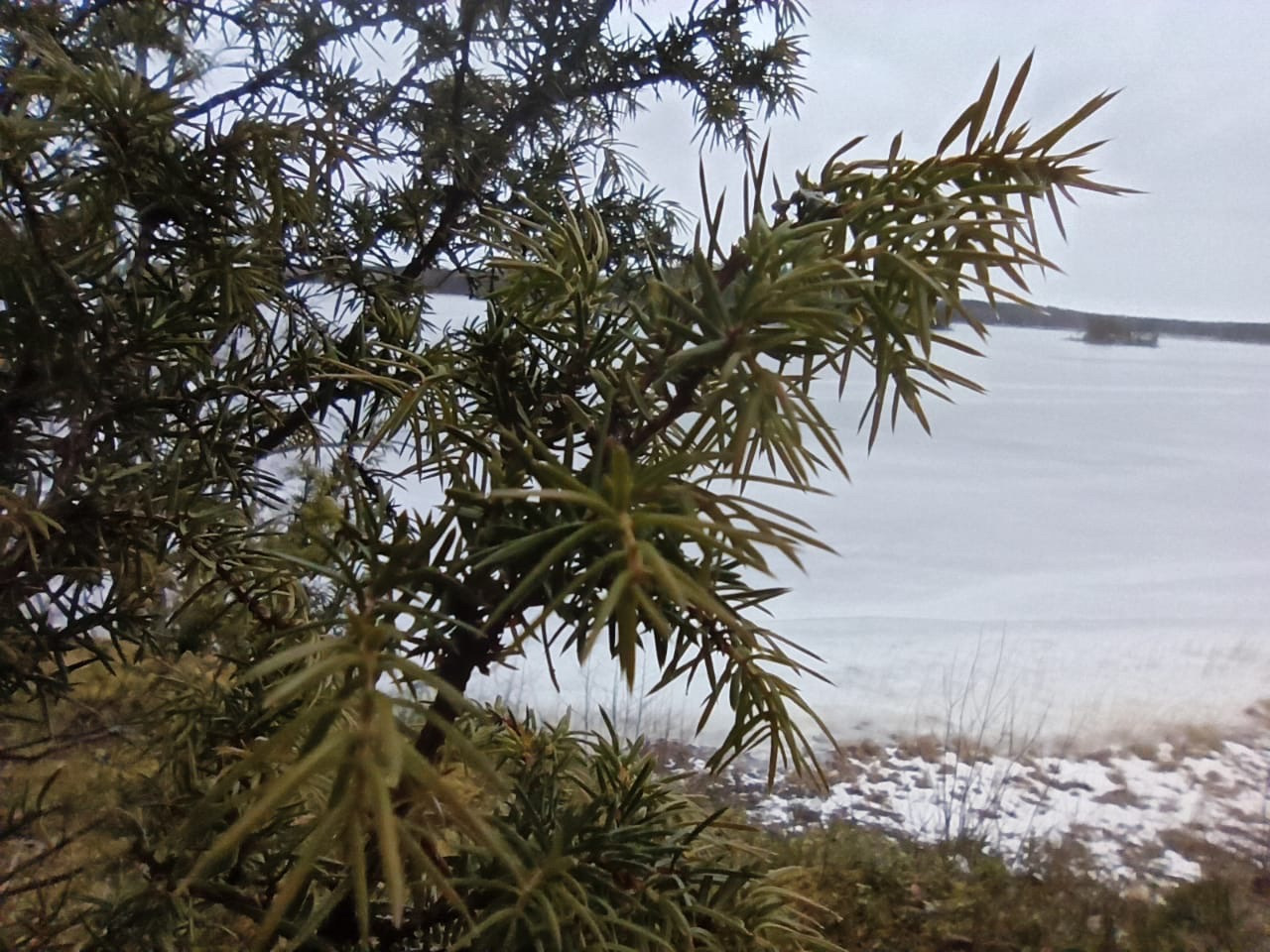 28. Москва-Питер-Лаппеенранта(Финляндия) — Volkswagen Golf Mk4, 2,8 л ...