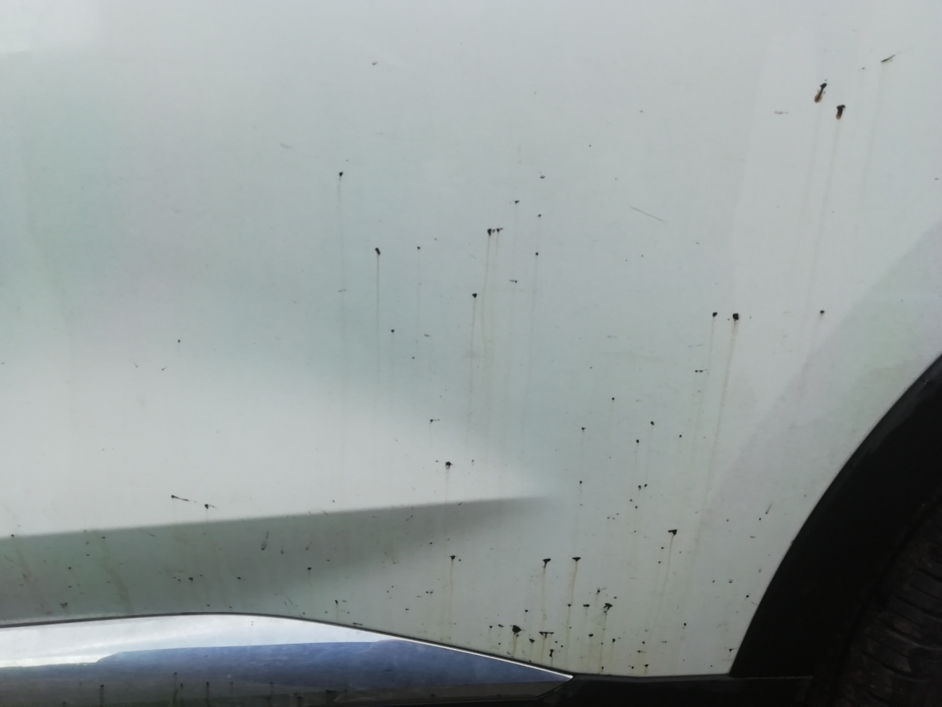 Удаление битума с кузова авто — Haval F7x, 2 л, 2021 года | мойка | DRIVE2