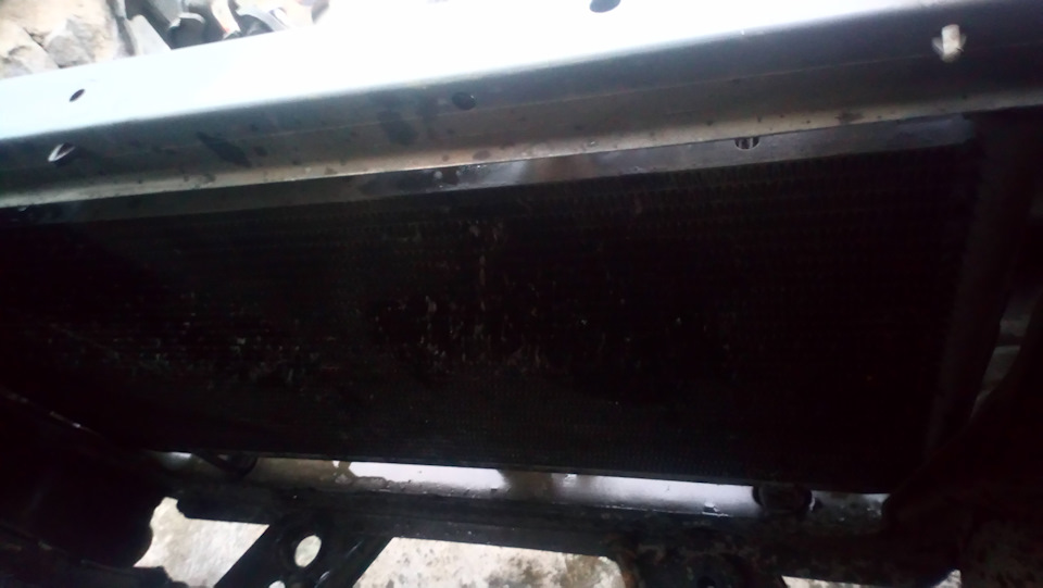 Чистка радиатора снаружи. — Nissan Stagea (WC34 Series 2), 2 л, 1998 ...