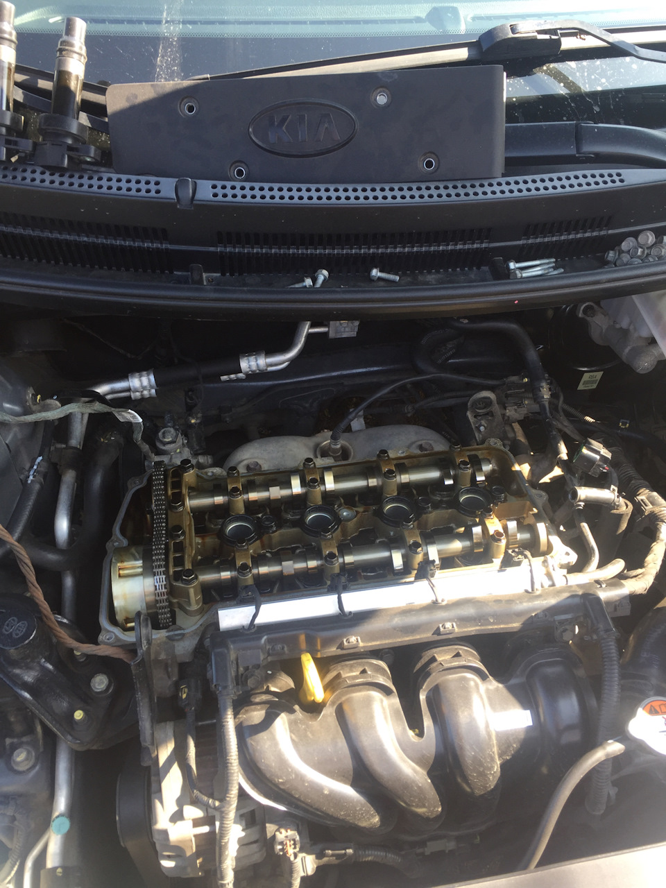 Цепь, дизель — KIA Rio (3G), 1,6 л, 2013 года | наблюдение | DRIVE2