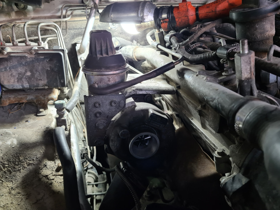 Фото в бортжурнале Great Wall Hover