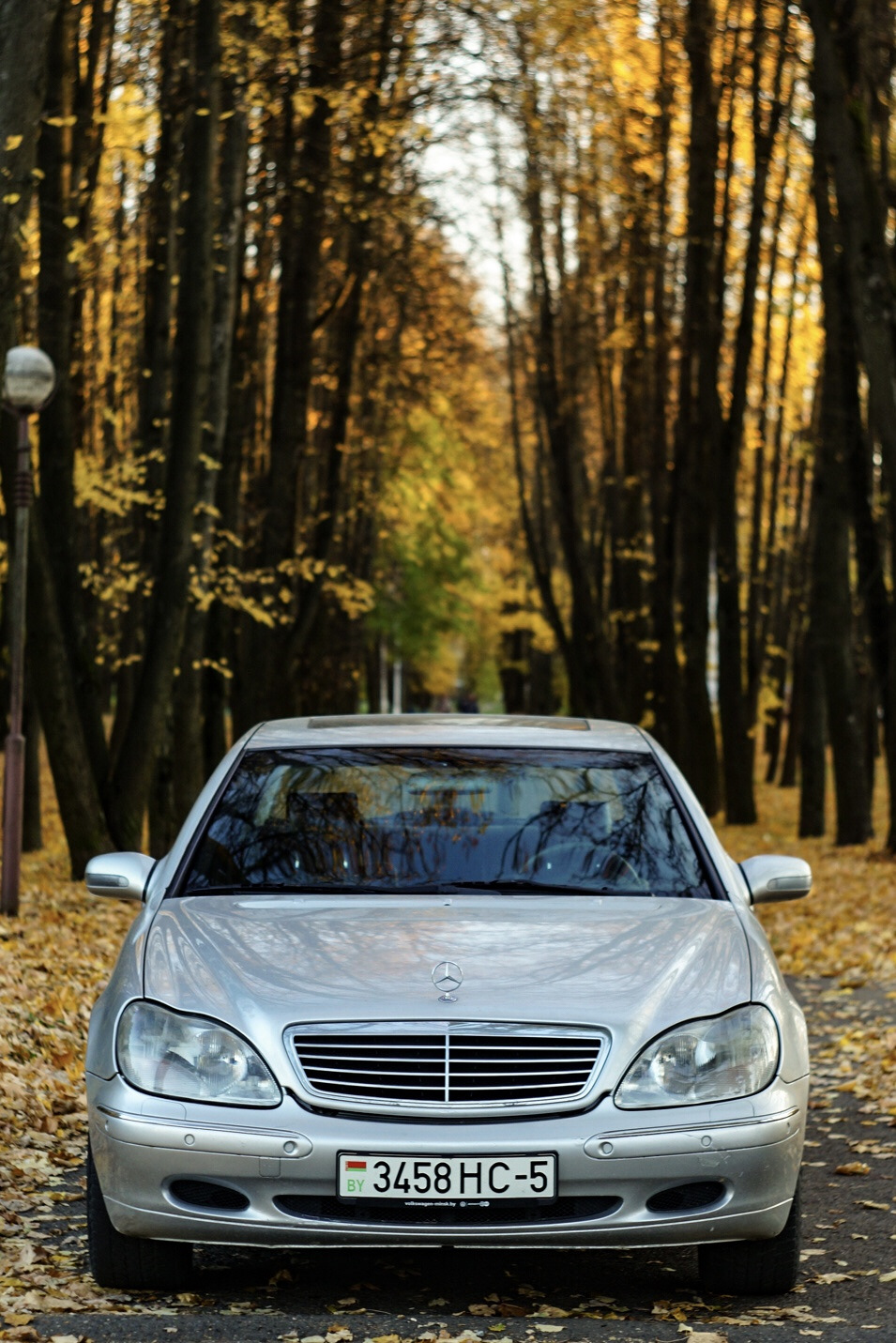 Фото — Mercedes-Benz S-Class (W220), 3,2 л, 1999 года | фотография | DRIVE2