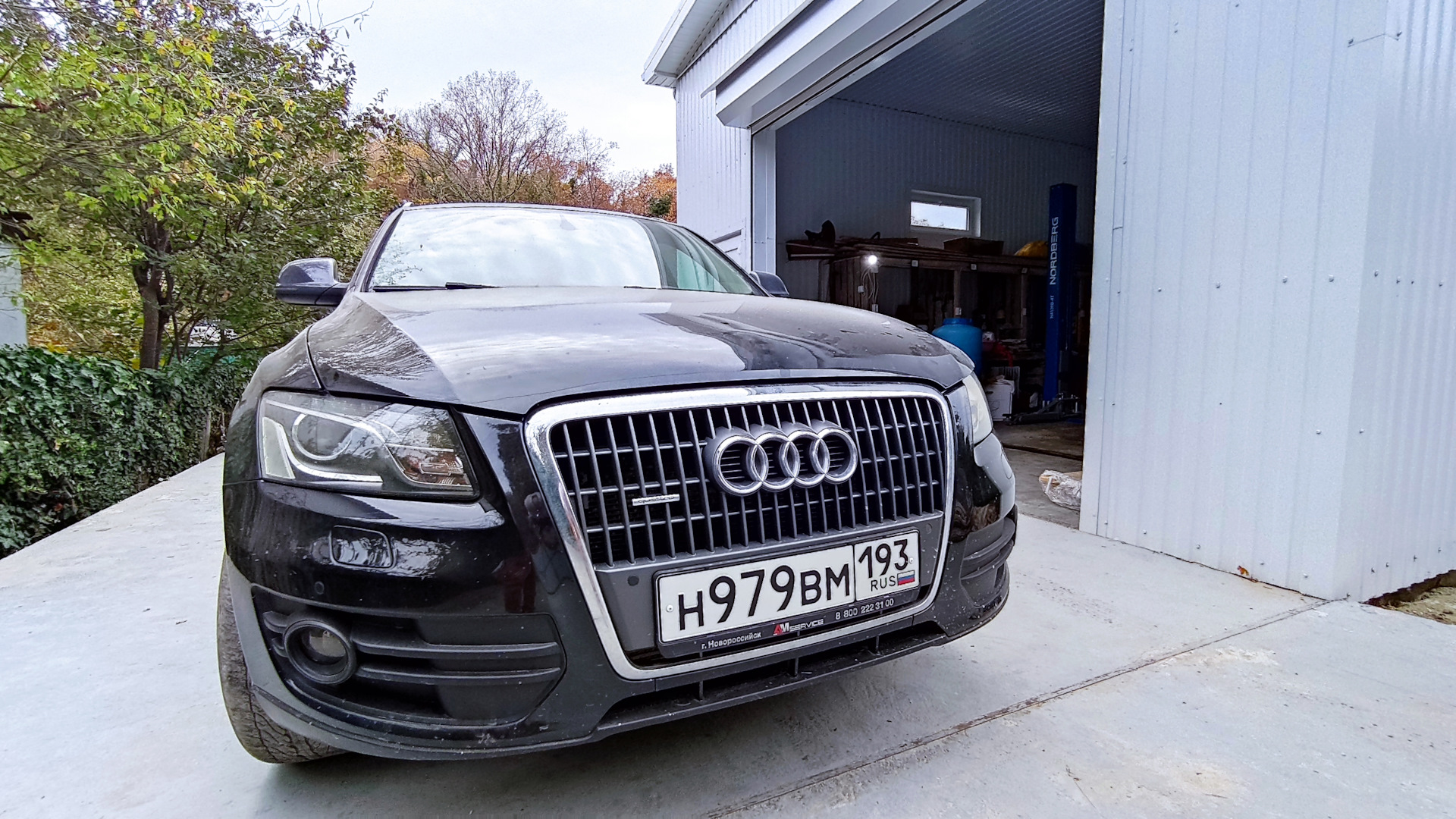 Audi Q5 (1G) 2.0 бензиновый 2010 | Puma на DRIVE2