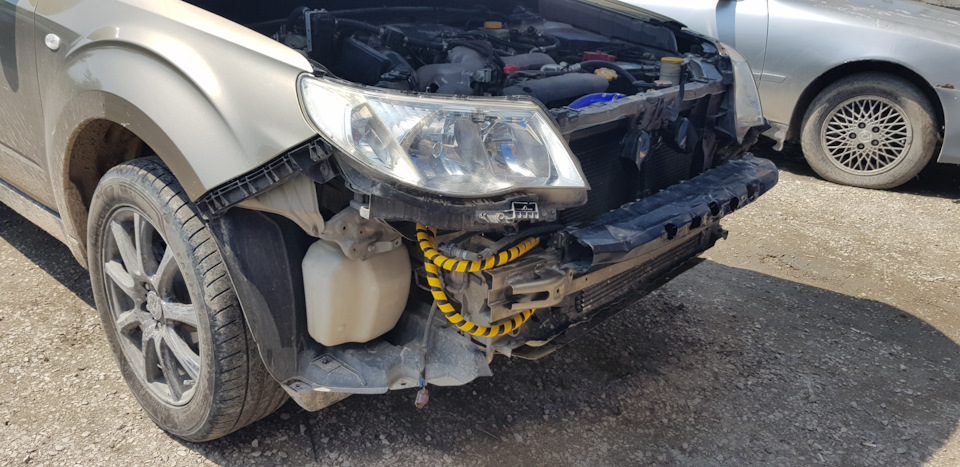 Фото в бортжурнале Subaru Forester (SH)